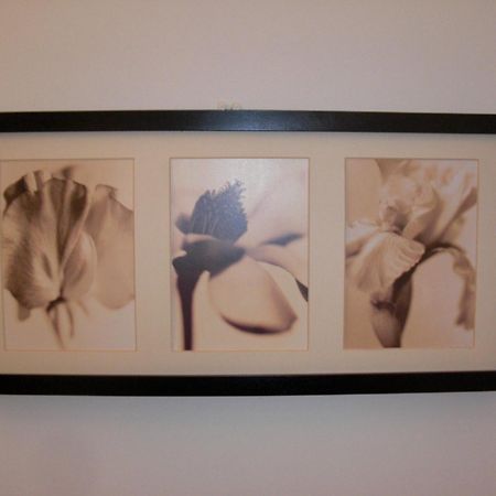 Anne De La Maison Blanche Avinyon Dış mekan fotoğraf